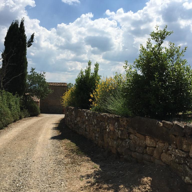 Villa Fonte All'Oppio Con Area Piscina Recintata ピエンツァ エクステリア 写真